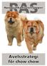 Inledning. December 2014 Chow Chow Ringen - 2 -