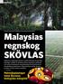 Malaysias regnskog skövlas