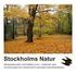 Foto: Ronny Fors. Stockholms Natur PROGRAMBLADET FEBRUARI SEPTEMBER 2015 STOCKHOLMS OCH SÖDERORTS NATURSKYDDSFÖRENINGAR