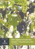 Rapport nr 2001:01 9 2003. Den öppna missbruksvården i Stockholms län. - en kartläggning