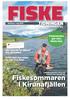 Fiskesommaren i Kirunafjällen