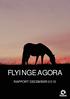 FLYINGE AGORA RAPPORT DECEMBER 2015 1