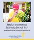 Stroke, traumatiska hjärnskador och MS. Rehabilitering som ger stimulans för kropp och själ. www.enrichedlife.se