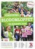 BLODOMLOPPET JÖNKÖPING 19 AUGUSTI 2014. www.blodomloppet.se