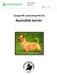 Australisk terrier. Rasspecifik avelsstrategi RAS för. Australisk terrier. Författare (Klubb) Svenska Aussieklubben RAS-dokument avseende