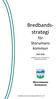 Verksamhetsdirektiv. Bilagor: Stadsnätsföreningens (SSNf) definition av Öppet nät Befintliga strategidokument och utredningar