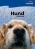 April 2011. Hund. i Halmstad