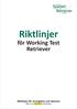 Riktlinjer. för Working Test Retriever. Riktlinjer för arrangörer och domare Gäller fr o m 2016-03-15 och tills vidare