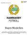 Bajen Modellen. Bajenmodellen version 2016-02-06