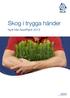 Skog i trygga händer. Nytt från NorrPlant 2013. NorrPlant www.scaskog.com