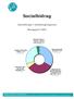 Socialbidrag. Utvecklingen i Göteborgsregionen. Årsrapport 2002. Överkonsumtion + Övrigt + Saknar barnomsorg; 3% (3 % år 2001)