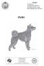 PUMI. Grupp 1. FCI-nummer 56 Originalstandard 2000-04-06 FCI-Standard 2000-09-13; tyska SKKs Standardkommitté 2002-10-30