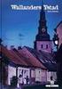 Avguština Budja. Na potovanjih in pri pogovorih s Švedi