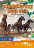 Nästa tävlingsdag: Lördag 23 juli, V75 1:a start 14.45, Trippeltravet Söndag 24 juli, V75 1:a start Trippeltravet Stochampionatet