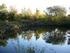 Beslut naturreservatet Alkärret i Haboljung i Lomma