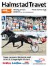 HalmstadTravet. Yngve Larssons Memorial med bl a B.B.S.Sugarlight till start! Måndag 28 mars Första start kl banprogram