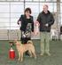 Grupp 2 SHAR PEI Nordisk Kennel Union