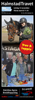 HalmstadTravet. Trav & loppis. Fri entré! Katslösa Agros Breddloppsdag. Lördag 12 november Första start kl