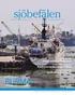 WHO:s handbok för inspektion på fartyg och utfärdande av sanitetsintyg. Nationell anvisning för tillämpning i Finland