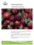 Marknadsöversikt. Färska frukter och grönsaker. Rapport 2010:22