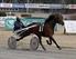 ÅBY. Årspremiär! Xpressbana // Solvalla ONSDAG 4 JANUARI. 40 kr PRIS 1:A START START I TV KL ÅBY NR 1/2017. banprogram