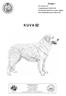 KUVASZ. Grupp 1. FCI-nummer 54 Originalstandard FCI-Standard ; tyska, engelska SKKs Standardkommitté