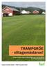 TRAMPGRÖE - slitagemästaren! Av Trygve S. Aamlid och Agnar Kvalbein, NIBIO Turfgrass Research Group. Översättning: Boel Sandström.