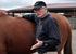 Erfarna hästpraktiserande veterinärers subjektiva bedömning av hältor hos hästar som longeras i trav