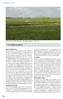 7 Beskrivning och analys. Betesmarker NV Björkesåkrasjön, med Sturups flygplats i bakgrunden Björkesåkra