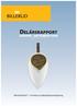 DELÅRSRAPPORT JANUARI - SEPTEMBER Billerud FibreForm en formbar och miljövänlig förpackningslösning. avlämnad den 13 november 2008 kl. 12.