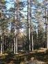 Skog strax söder om Björbo Gagnef Forsen 7:60 & Björbo 33:69