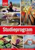 Studieprogram våren 2017