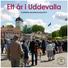 Ett år i Uddevalla. Kortfattad årsredovisning 2014