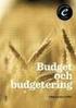 Budget & budgetering