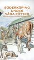 Hur kan man veta hur det var för så länge sedan? Perioden mellan vikingatidens slut 1050 och vasatidens början 1520 kallas medeltiden.