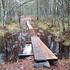 Naturvårdsverkets förslag till ändrade föreskrifter för Tresticklans nationalpark