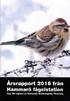 Årgång ISSN Årsrapport från Hammarö fågelstation. Innehåll. Utgiven av Karlstads Ornitologiska Förening Redaktör: Sven Larsson