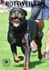 Vandringspriser. för. Svenska Rottweilerklubben/AfR SBK:s Avelsavdelning för Rottweiler