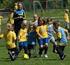Upplands Fotbollförbunds kompletterande tävlingsföreskrifter gällande serier för Ungdom 13 till 17 år 2014
