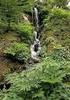 Utbredning och bekämpning av jättebjörnloka (Heracleum mantegazzianum) - en kartläggning