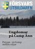 Länsstyrelsernas nationella kommunikationssamordning styrning, organisation och förvaltning