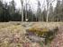 Osteologisk analys av djurben från det medeltida Landsjö borg i Kimstad sn, Östergötland.