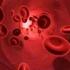 Blodet och immunsystemet