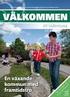 VIGGBYHOLMS IK VERKSAMHETSPLAN 2009/2010