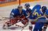 SWEDEN : GOALTENDING REGISTER