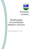 Storumans kommun. Handlingsplan för extraordinära händelser och kriser. Fastställd av kommunfullmäktige