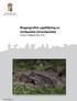 Rapport 2017:13. Biogeografisk uppföljning av stinkpadda (strandpadda) Västra Götalands län 2016