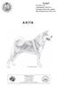 AKITA. Grupp 5. FCI-nummer 255 Originalstandard FCI-Standard ; engelska SKKs Standardkommitté