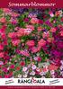 Sommarblommor. Småpetunia Million Bells. 3 st 100:- Ord.pris 49.90/st. Öppettider se hemsidan. Nu även Webbshop.  Telefon