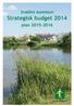 Strategisk Budget 2014 och Plan